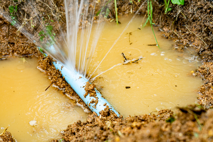 The Drain Man plumber providing residential plumbing service in Farragut, TN